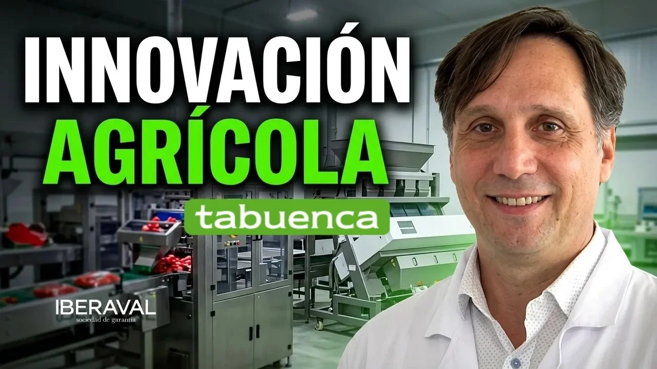 Verduras Tabuenca, empresa innovadora