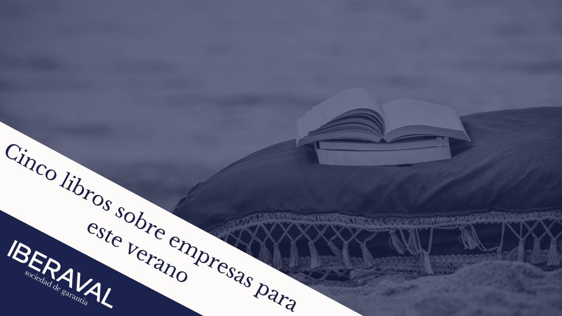 Cinco libros sobre empresas para este verano