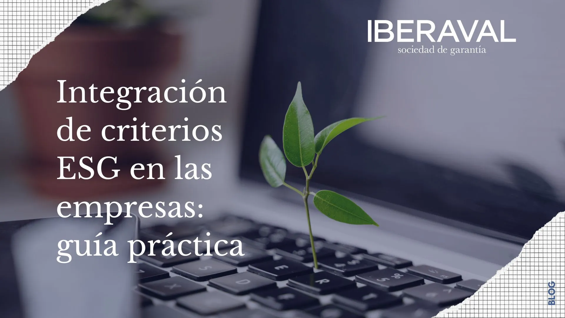 Integración de criterios ESG en las empresas: guía práctica
