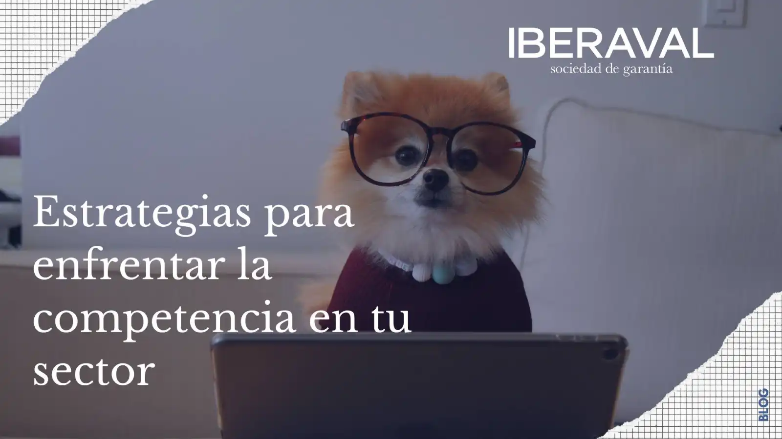 Estrategias para enfrentar la competencia en tu sector
