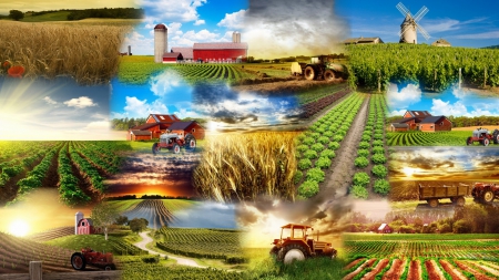Apuesta incondicional por el medio rural