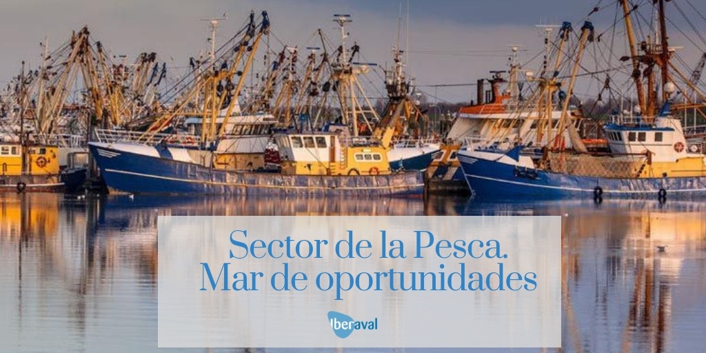 Financiación para la Pesca en España. Un mar de posibilidades