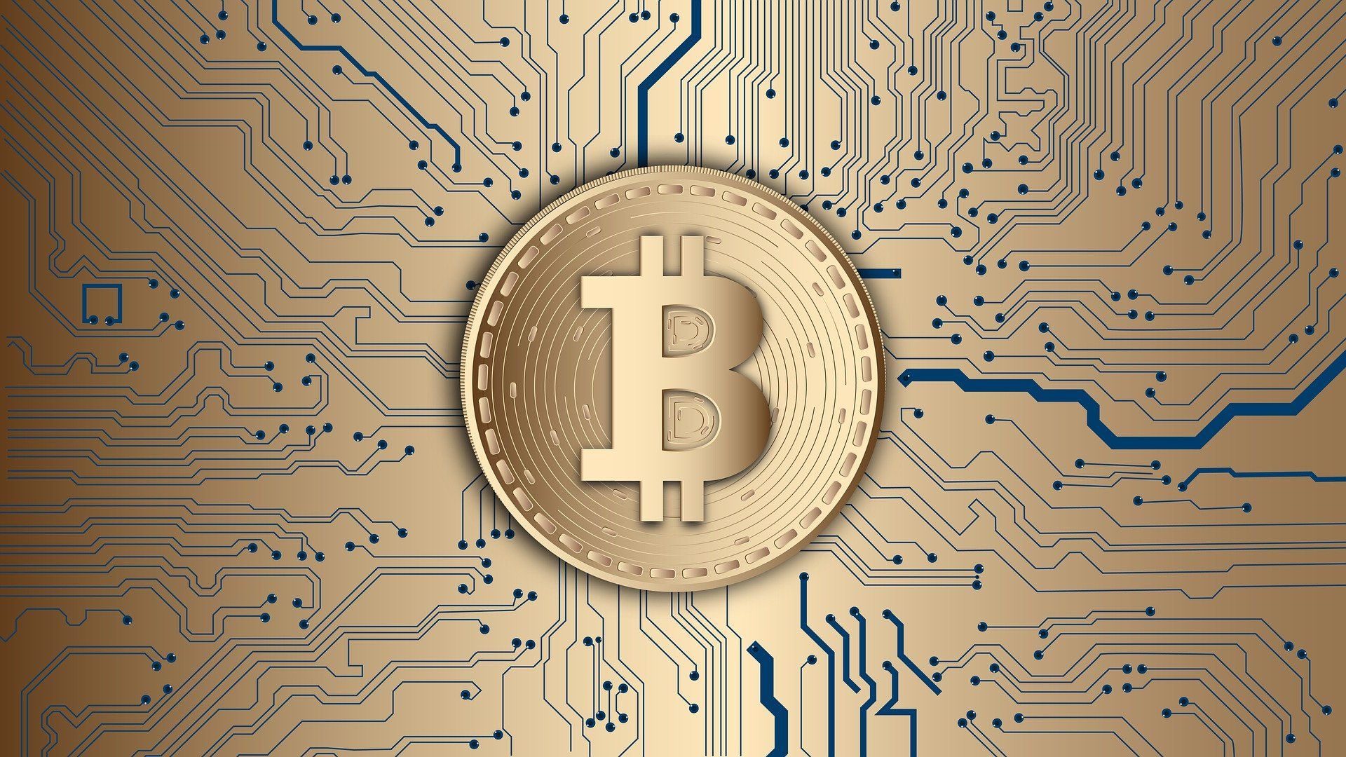 bitcoin y criptomonedas