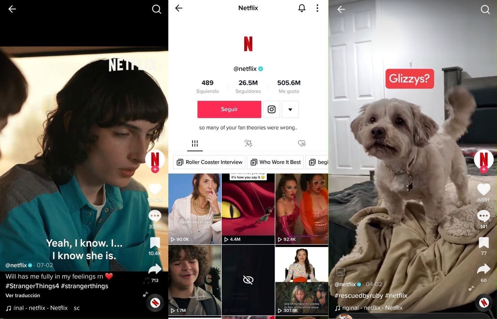 Pefil TikTok de Netflix