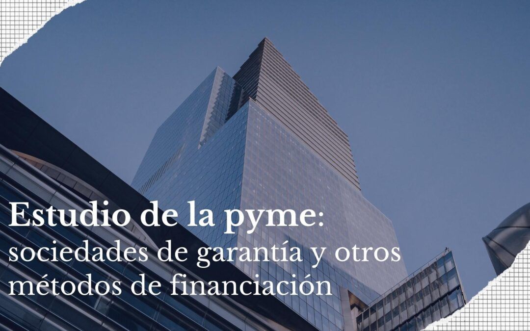 Estudio de la pyme sociedades de garantía y otros métodos de financiación