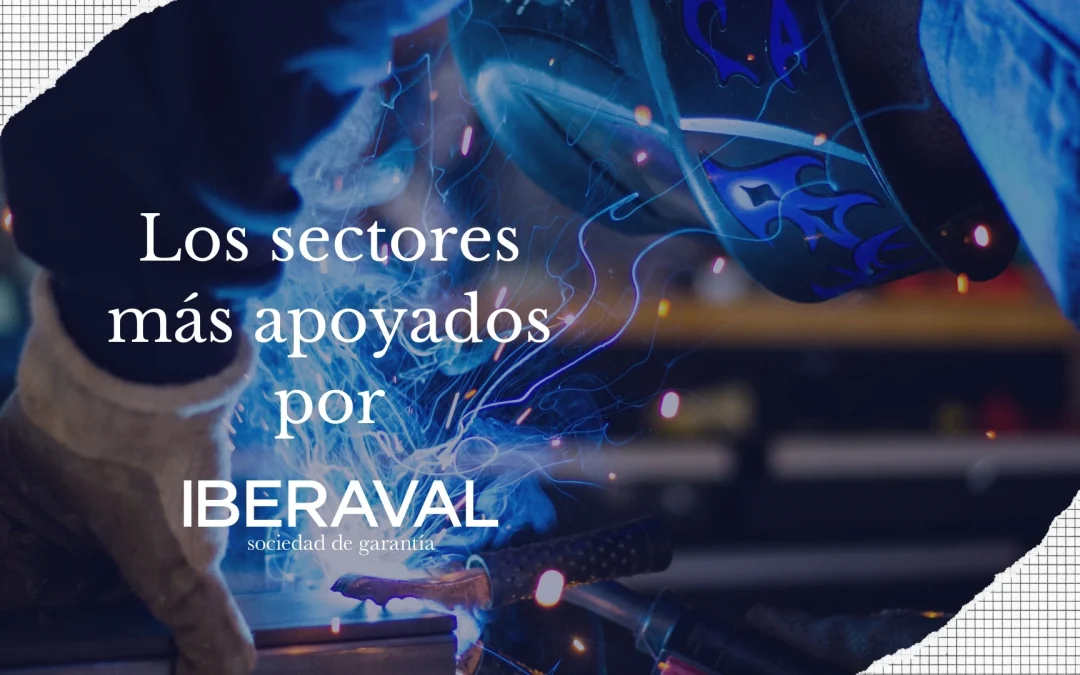 Los sectores más apoyados por Iberaval: Servicios, Comercio e Industria