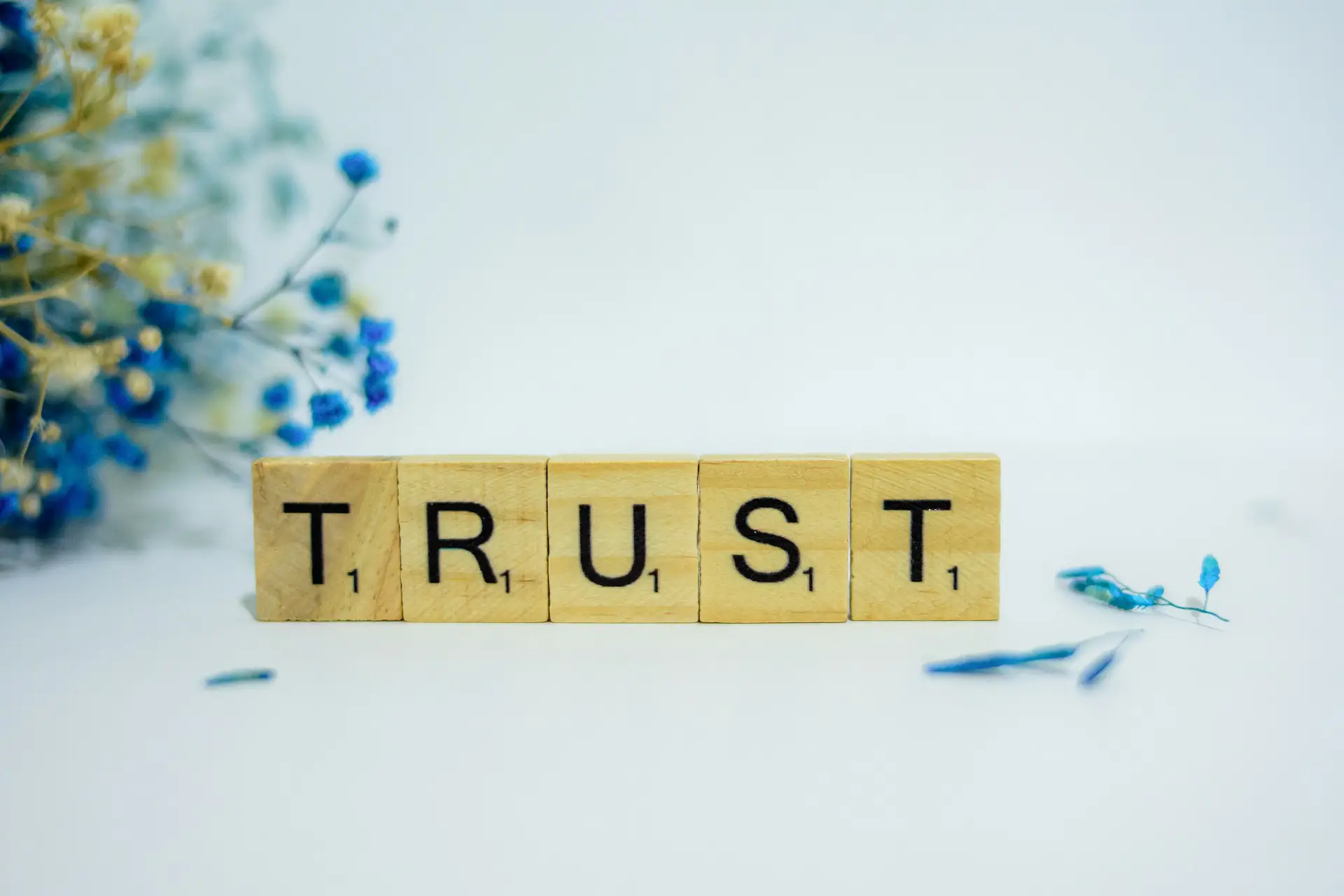 mas-credibilidad La credibilidad es fundamental en todo proyecto empresarial