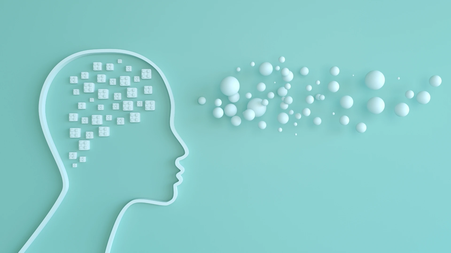 Igualdad y sesgos el algoritmo